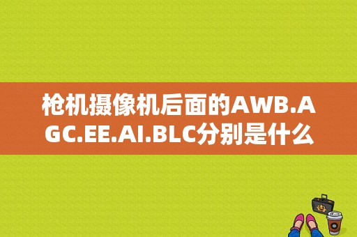 枪机摄像机后面的AWB.AGC.EE.AI.BLC分别是什么意思啊，摄像机awb是什么意思