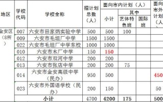 六安中学招生简章，安防周计划怎么写