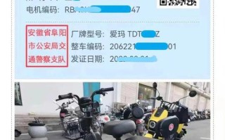 南京电动自行车牌照已领过，为什么还查不到电子行驶证，