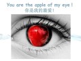 myeye怎么连接（eye字母组合发音规律）