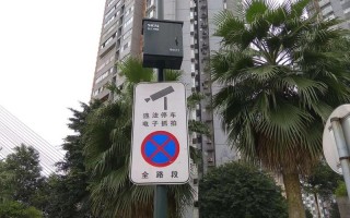 违停球怎么拍非法停车（怎么拍照上传违法停车）