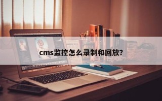 cms监控怎么回放（cms监控怎么回放）