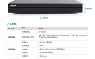 大华dh-nvr4216怎么设置（大华nvr4416-hds2设置）