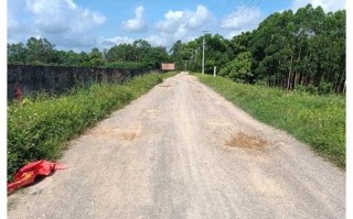 高速路绿化泥巴怎么报价（高速路绿化泥巴怎么报价）