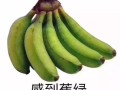 banana是怎么成为一个网络梗的，