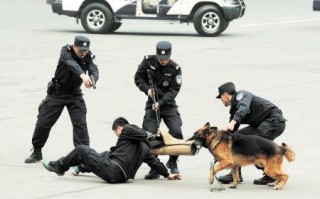 警用催泪瓦斯怎么解除（踢警犬犯法吗）