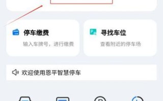无车牌怎么停智慧停车（临时车牌智慧停车可以不缴费吗）