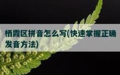 讯息怎么拼（讯息怎么拼读）