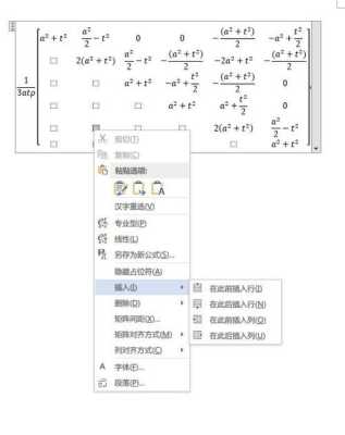 矩阵怎么设置（word公式矩阵怎么设置）-第3张图片-安保之家