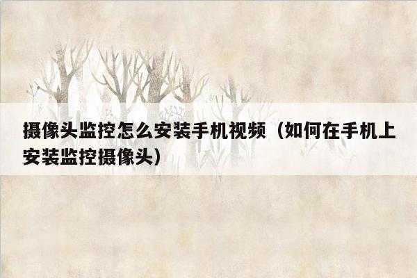 手机怎么进入监控系统（手机怎样连接家里的监控摄像头）-第2张图片-安保之家