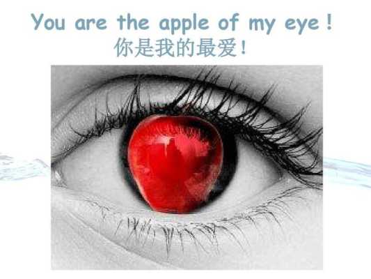 myeye怎么连接（eye字母组合发音规律）-第1张图片-安保之家