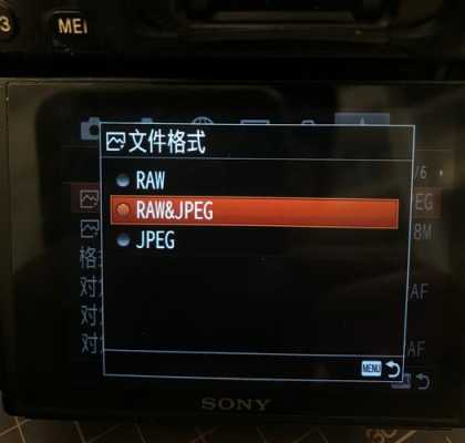 sony录像怎么压缩（sony录像文件格式）-第3张图片-安保之家