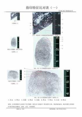 怎么制造假指纹（假指纹与真指纹的区别）-第1张图片-安保之家