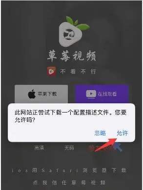 app上下载的视频怎么在手机上找到，草莓视频怎么搜资源的-第1张图片-安保之家