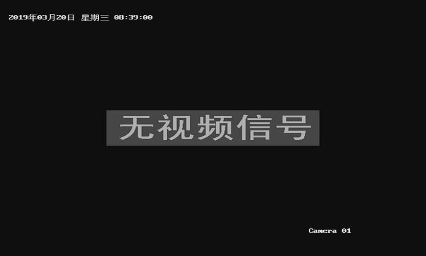 监控不出图像怎么调整（监控屏幕上没有图像是怎么回事）-第2张图片-安保之家