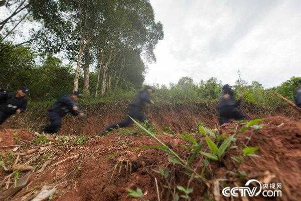 缉毒怎么使用监控系统（缉毒警察如何侦查）-第2张图片-安保之家