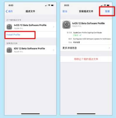 iphone安装什么有描述文件，怎么能有描述文件呢-第1张图片-安保之家