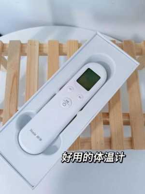 电烤箱温度计怎样使用，测体温的监控怎么打开的-第3张图片-安保之家