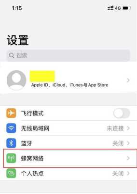 iphone怎么关闭5g（iphone怎么关闭5g用4g）-第2张图片-安保之家