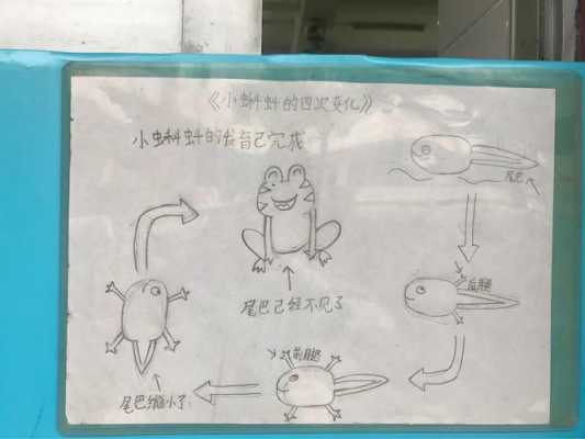 苹果怎么删除小蝌蚪视频（苹果怎么删除小蝌蚪视频软件）-第3张图片-安保之家