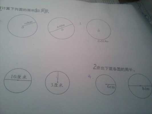 圆的周界长怎么求（圆的周界怎么算）-第1张图片-安保之家