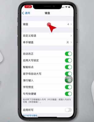 apple11怎么用手写（苹果11手写输入怎么设置）-第2张图片-安保之家