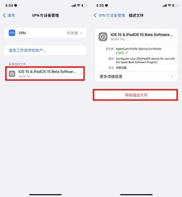 ios 14.5 rc版可以删除描述文件吗，配置描述文件怎么删除不可移除的文件-第2张图片-安保之家