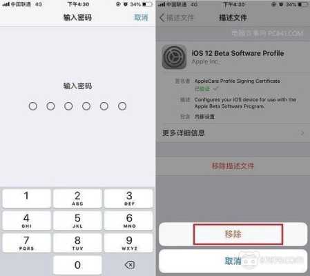 ios 14.5 rc版可以删除描述文件吗，配置描述文件怎么删除不可移除的文件-第3张图片-安保之家