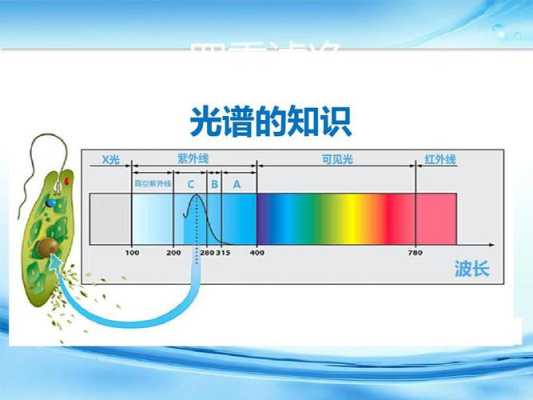 怎么能看到红外对射线（怎么能看到红外对射线的波长）-第2张图片-安保之家