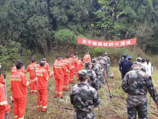 装森林防火监控怎么计费用（防火演练经费有哪些）-第1张图片-安保之家