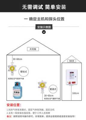 生物酒精怎么装报警器（生物酒精怎么装报警器视频）-第1张图片-安保之家