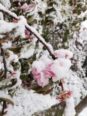 监控摄像出现雪花麻点怎么回事，监控晚上有雪花怎么办呢-第1张图片-安保之家