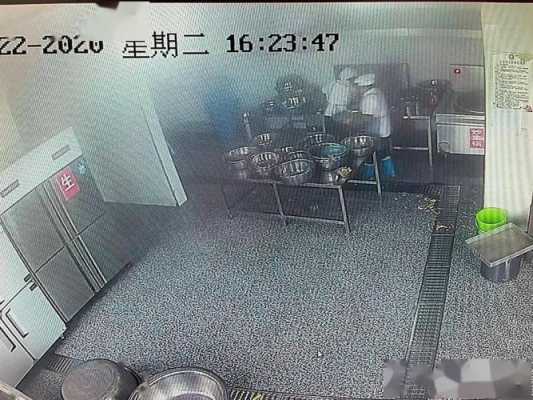 饭店里装什么监控系统好，学校食堂监控怎么看江西-第2张图片-安保之家