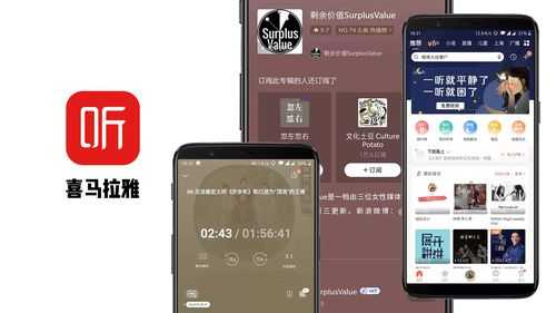 app中文怎么说艾普（app用中文怎么读）-第1张图片-安保之家