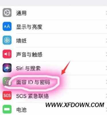 苹果xsmax的人脸识别怎么设置（苹果xsmax如何设置人脸识别）-第2张图片-安保之家