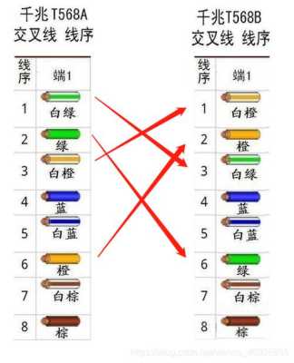 怎么看文件的网线成份（怎么看文件的网线成份和型号）-第3张图片-安保之家