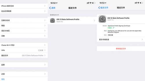 怎么卸载不可删除的不可描述文件，iphone草莓app怎么删除-第1张图片-安保之家