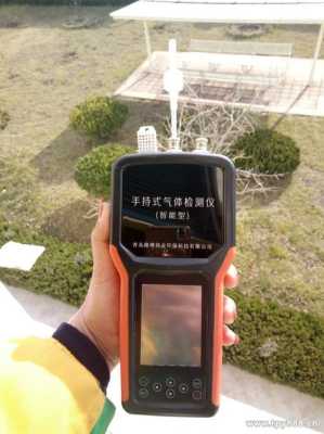 pH报警器探头怎么接（ph3报警器）-第1张图片-安保之家