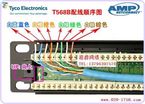 amp24口配线架怎么配线（amp24口配线架打法图解）-第1张图片-安保之家